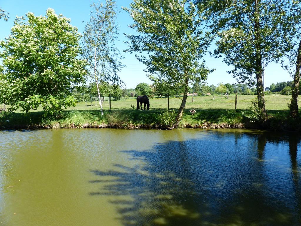 Paardenhof Guesthouse Esquelbecq Dış mekan fotoğraf