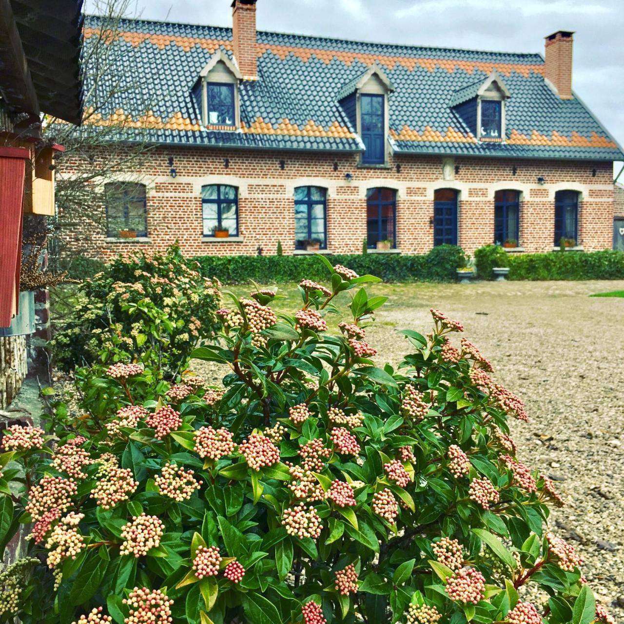 Paardenhof Guesthouse Esquelbecq Dış mekan fotoğraf